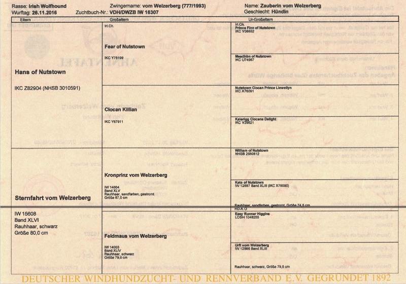 Pedigree Zauberin vom Welzerberg